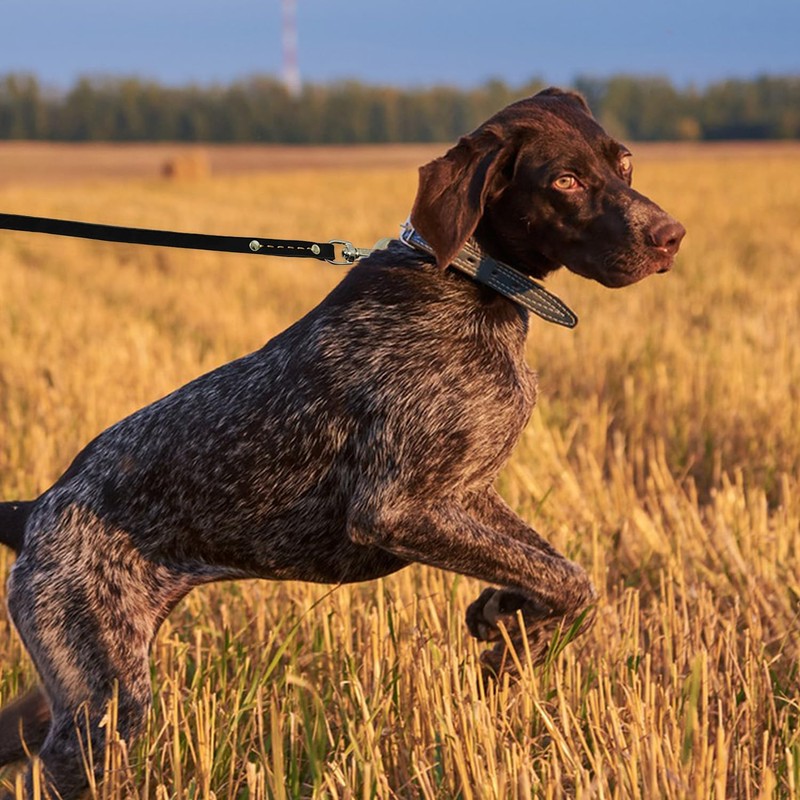 LWBMG Leather Dog Leash 6 ft, Dog Leashes for Large