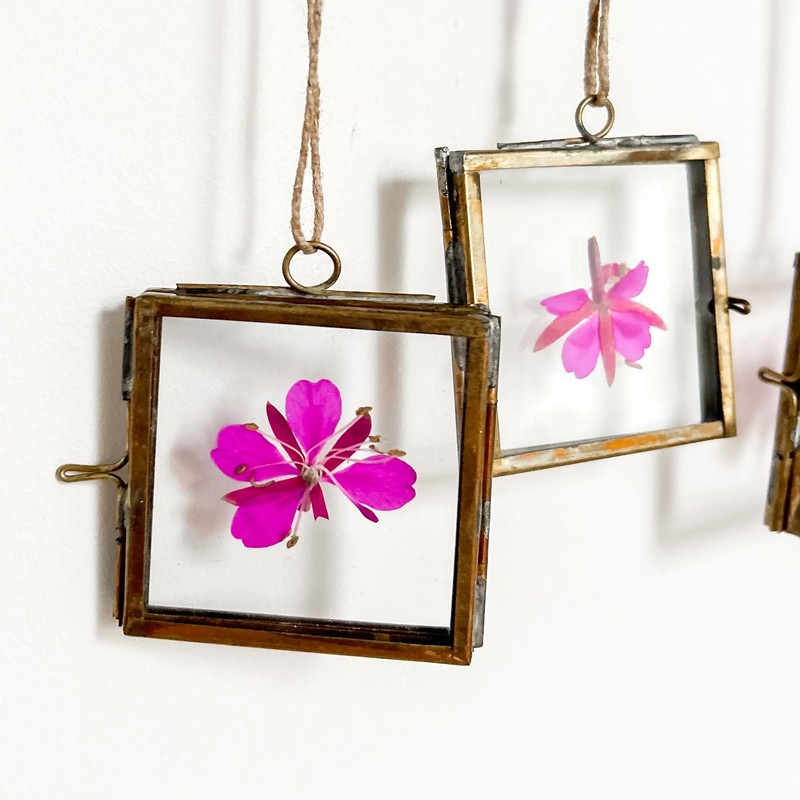 6 x 5cm Brass Double Sided Photo Frames