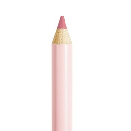 Pink Up | Lip Liner | Lip Definer | Complements Your Look | Enhances Lip Volume | Highly Pigmented | Long-Lasting | Shade: Pink Nude | Model PKLL19