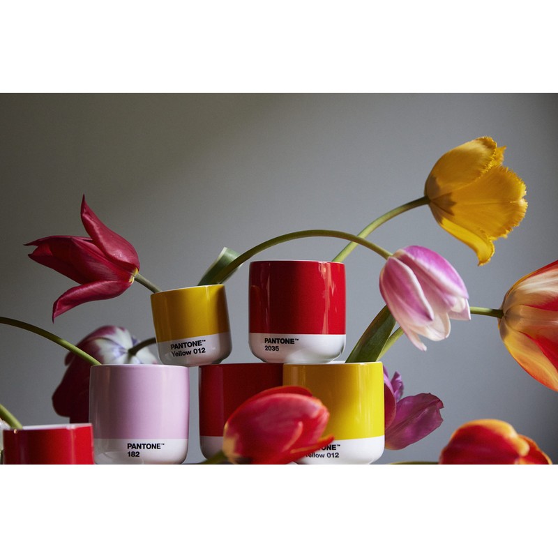 Pantone Latte Thermo Cup, 220ml, Light Pink