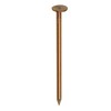 DAIDOHANT 10186694 Copper Nails, Flat Head/Straight, Nominal Diameter: 0.1 inches