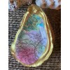 Unbranded Decorative Oyster Shell for Jewelry Rings Trinket Dish Map