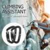 PANDENGZHE Climbing Carabiners, 25KN (5620 lbs) 3.9" Heavy Duty Carabiner