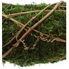 Moss Wreath, Decorative Wreath, Door Wreath, Advent Wreath Approx. Diameter