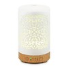 Earnest Living Earnest Living Essential Oil Diffuser White Ceramic Diffuser
