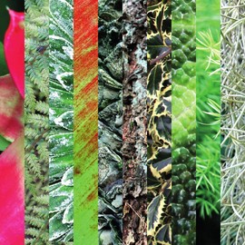 Origami Paper Gift Set | 100 Sheets, 15cm Square | Flower Patterns Collection Two