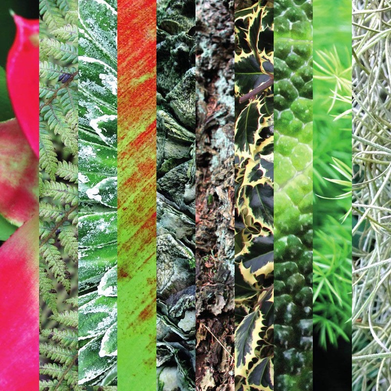 Origami Paper Gift Set | 100 Sheets, 15cm Square |