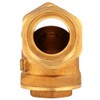 DN25 Female Thread Brass Check Valve Disposable Check Valve 232PSI