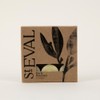 St Eval Bay & Rosemary Scented Tealights | Earthy Herbal