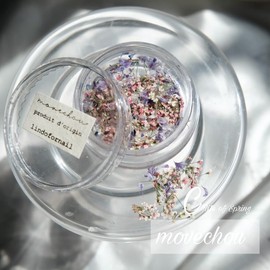 AAGWW Dry Flower Nail Parts, Pressed Flowers for Resin, Flower Deco Parts, Workshop Supplies, Miko, Star Flower (Series 2, Color: C)