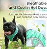 ThinkPet Harness and Leash Set Reflective Breathable Soft Air Mesh