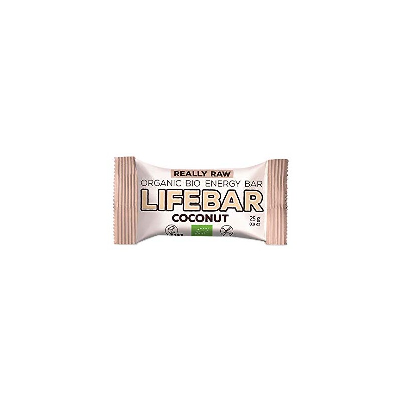 LIFEFOOD LIFEBAR Mini Kokos 25g (bio, roh, vegan)