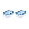 Asbel Titlock Oblong Type Large (Pack of 2), Blue