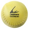 LINDSPORTS Soft Softball No. 3, Yellow, 12 Balls (1 Dozen)