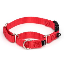 PetSafe Martingale Collar con Hebilla de Cierre rápido, 3/4 Pulgadas pequeño, Rojo, 1