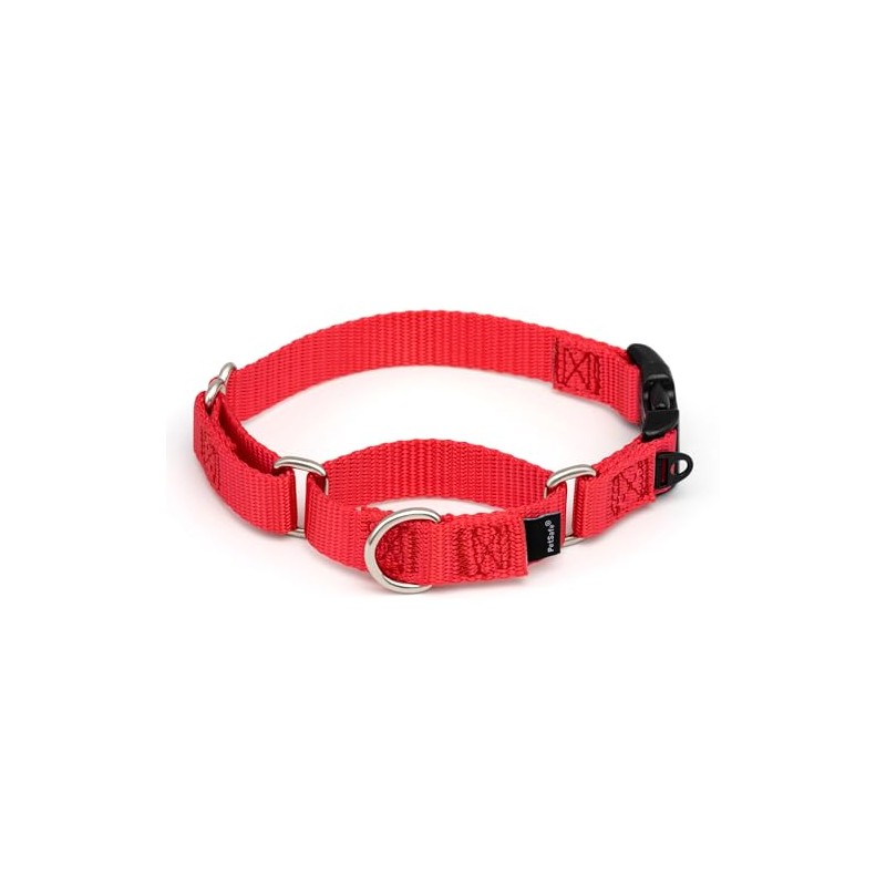 PetSafe Martingale Collar con Hebilla de Cierre rápido, 3/4 Pulgadas
