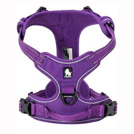 TrueLove Dog Harness TLH5651 No-pull Reflective Stitching Ensure Night Visibility, Outdoor Adventure Big Dog Harness Perfect Match Puppy Vest Now Available (Purple,XL)