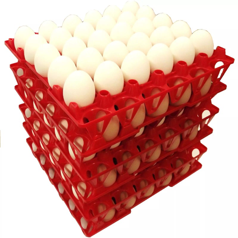 Rite Farm Products 6 RITE FARM PRODUCTS 30 EGG PLASTIC
