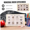 Hohopeti 12-Piece Mineral Rock Specimen Kit for Collection Geology Classroom