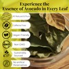 Akshit Dried Avocado Leaves,13oz, Hojas De Aguacate Secas, Avocado Leaf
