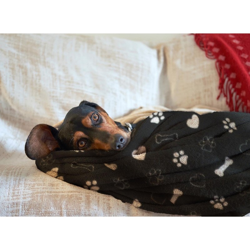 YöL Black Dog Sherpa Pet Blanket Comforting Puppy Dog Separation