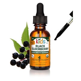 Herb Pharm Kids Certified-Organic Alcohol-Free Black Elderberry Glycerite Liquid Extract Drops, 1 Oz