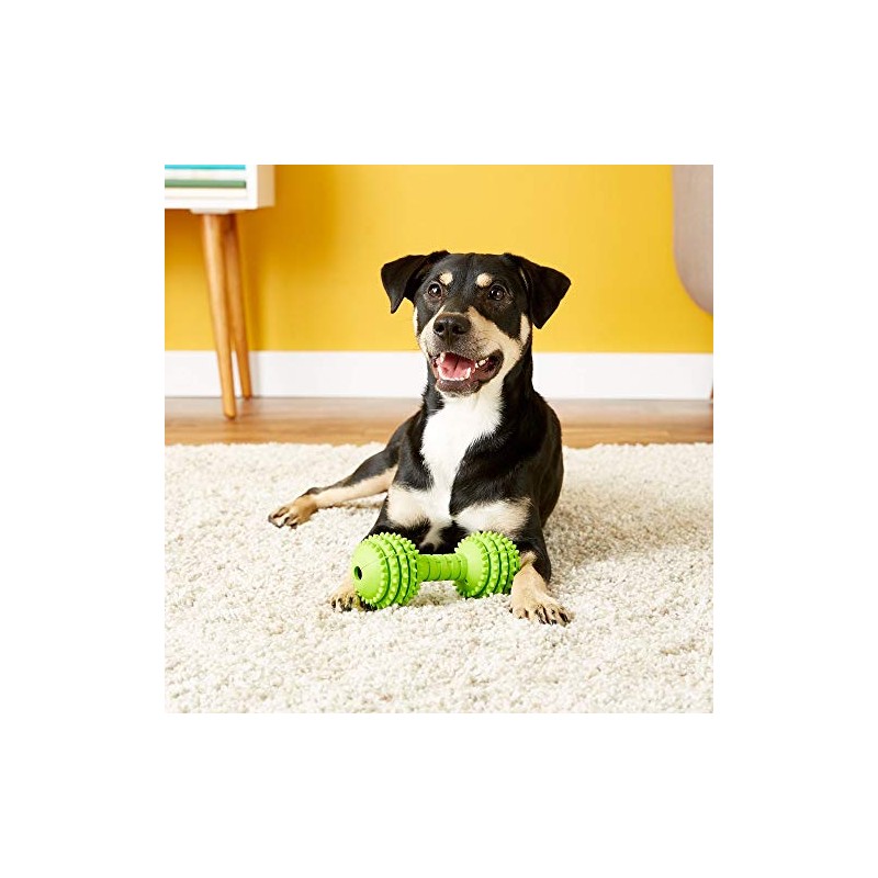 JW Pet Chompion Heavyweight Dog Chew Toy for Medium Breeds,