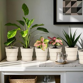 GRKJGytech 6Pack Orchid Pots, Breathable Root Control Flowerpot, Planting Pot with Drainage Tray, Suitable for Indoor Outdoor, Courtyard, Garden -Beige, 14cm