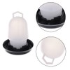 Hergon Kettle Shape Plastic Chicken Water Drinking Cup, Pet Water