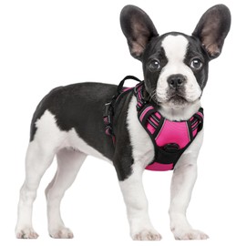 rabbitgoo Dog Harness, No-Pull Pet Harness with 2 Leash Clips, Adjustable Soft Padded Dog Vest, Reflective No-Choke Pet Oxford Vest with Easy Control Handle for Small Dogs, Hot Pink, S