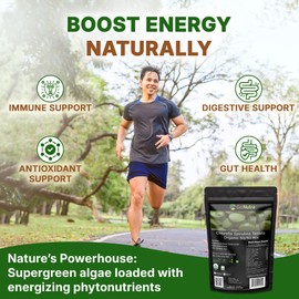 Go Nutra Organic Spirulina Chlorella Tablets 50/50 Blend | Nutrient Dense Superfood - Vegan Protein, Chlorophyll, Enzymes | 500mg Each Chlorella Spirulina Tablets, 720 Count, 4 Month Supply