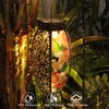 Solar Lanterns Outdoor Light - Solar Powered LED Hummingbird Glass