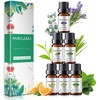MAYJAM Essential Oil Set, Popular Set of 6, Aroma Oil,