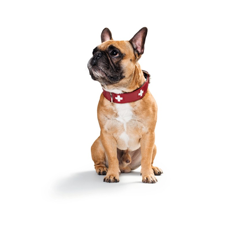 Hunter Swiss Organic Leather Collar, 65, Red/Black