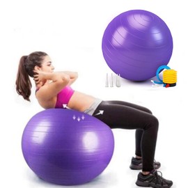 Exercise Ball, Explosion-Proof Yoga Ball, Balance Ball(25in /65cm) with Pump, Heavy Duty Swiss Ball for Fitness, Pregnancy, Balance & Physical Therapy, Fitness in Home/Gym/Office