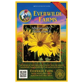 Everwilde Farms - 800 Maximilian's Sunflower Native Wildflower Seeds - Gold Vault Jumbo Seed Packet