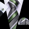 Barry.Wang Sage Green Black Grey Tie Set for Men Striped