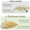 Esponja Exfoliante Corporal de Lufa Natural Ovalada para Ducha (1