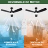 Minislak 42 Inch Black Ceiling Fan with Light and Remote