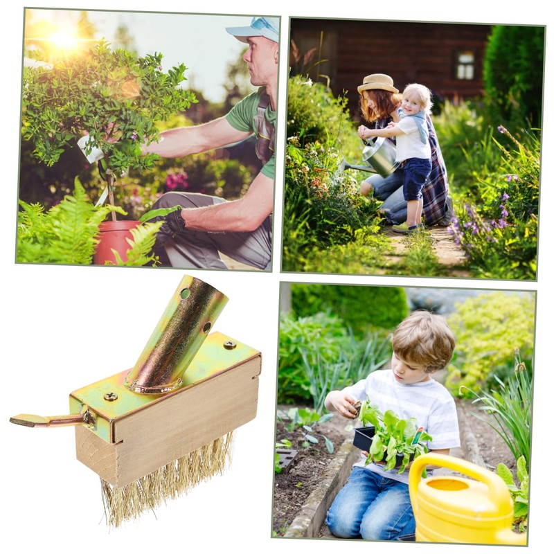 BESTonZON 2pcs Wire Grass Weeding Tool Moss Removal Brush Weeding