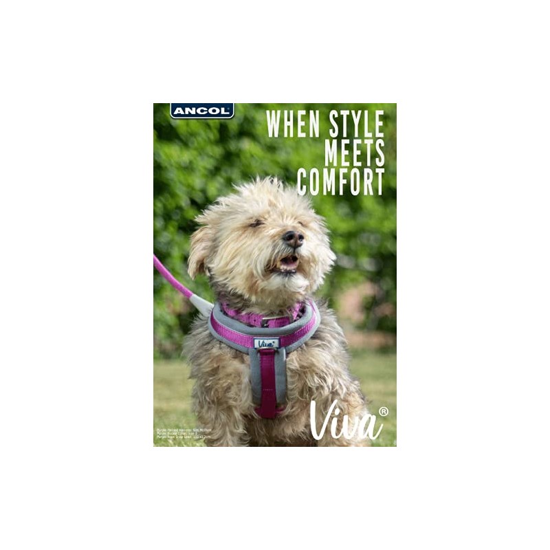 Ancol Viva Comfortable Durable Safe Weatherproof Purple Dogs Buckle Collar