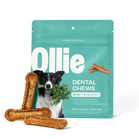 Ollie Dental Chews for Medium Dogs, 12 Oz, Fresh Breath, Teeth Cleaning Treats, Sticks for Dog Oral Care, with Parsley and Cinnimon, for Pups 26-50 lbs