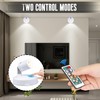 Ruiqas Wireless Rotating Dimmable Spotlight with Remote Control for Pictures,