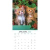 Mead 2022 Kittens Wall Calendar, 12 x 12 Inches, Bilingual,