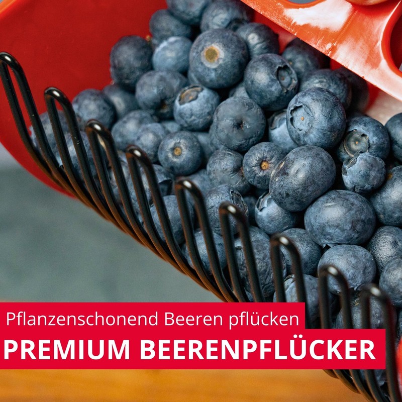 Westmark Berry Picker - Ideal for Picking Blueberries and Other