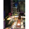 Stern Pinball T-Rex Sign MOD for Stern's Jurassic Park pinball
