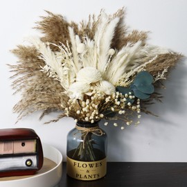 Acfruits Natural Dried Pampas Grass Bouquet with Vase, 17 Inch Blush Pampas Grass Decor Dried Flower Arrangement for Home Wedding Decoration