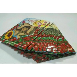 EIVY"S De Mexico 12 Pcs LA CHICA FRESITA Air Freshener Deodorant Strawberry Fresa Aromatizante