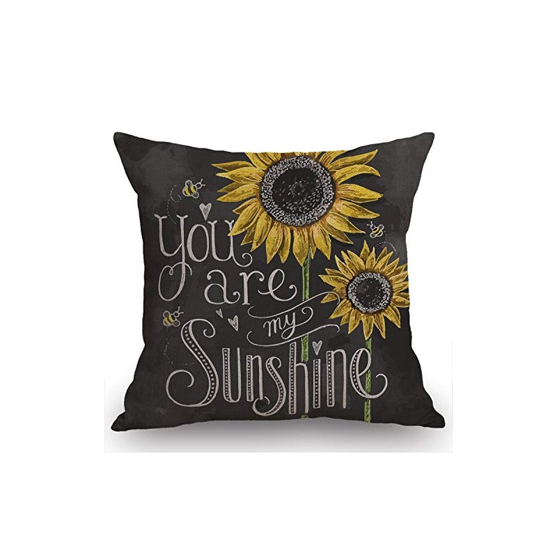 Swono You are My Sunshine Quote Throw Pillow Case Cushion