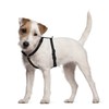 FidoRido Dog Car Seat Harness - Secure & Comfortable Travel